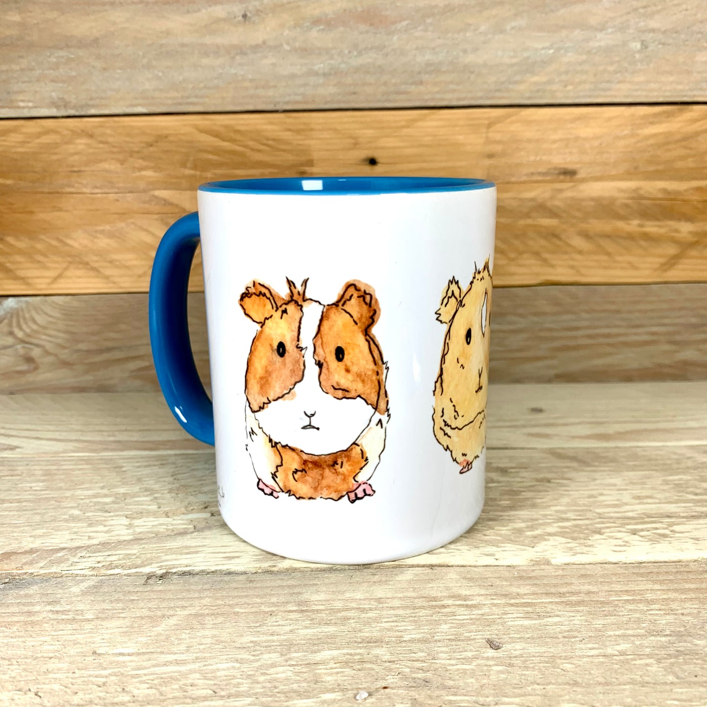 Tom, Dick and Harry the Guinea pigs Mug