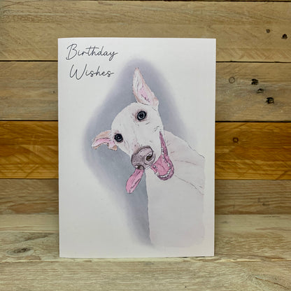 The Face Says It All Whippet Funny Birthday Card