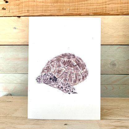 Tina The Tortoise Notelet