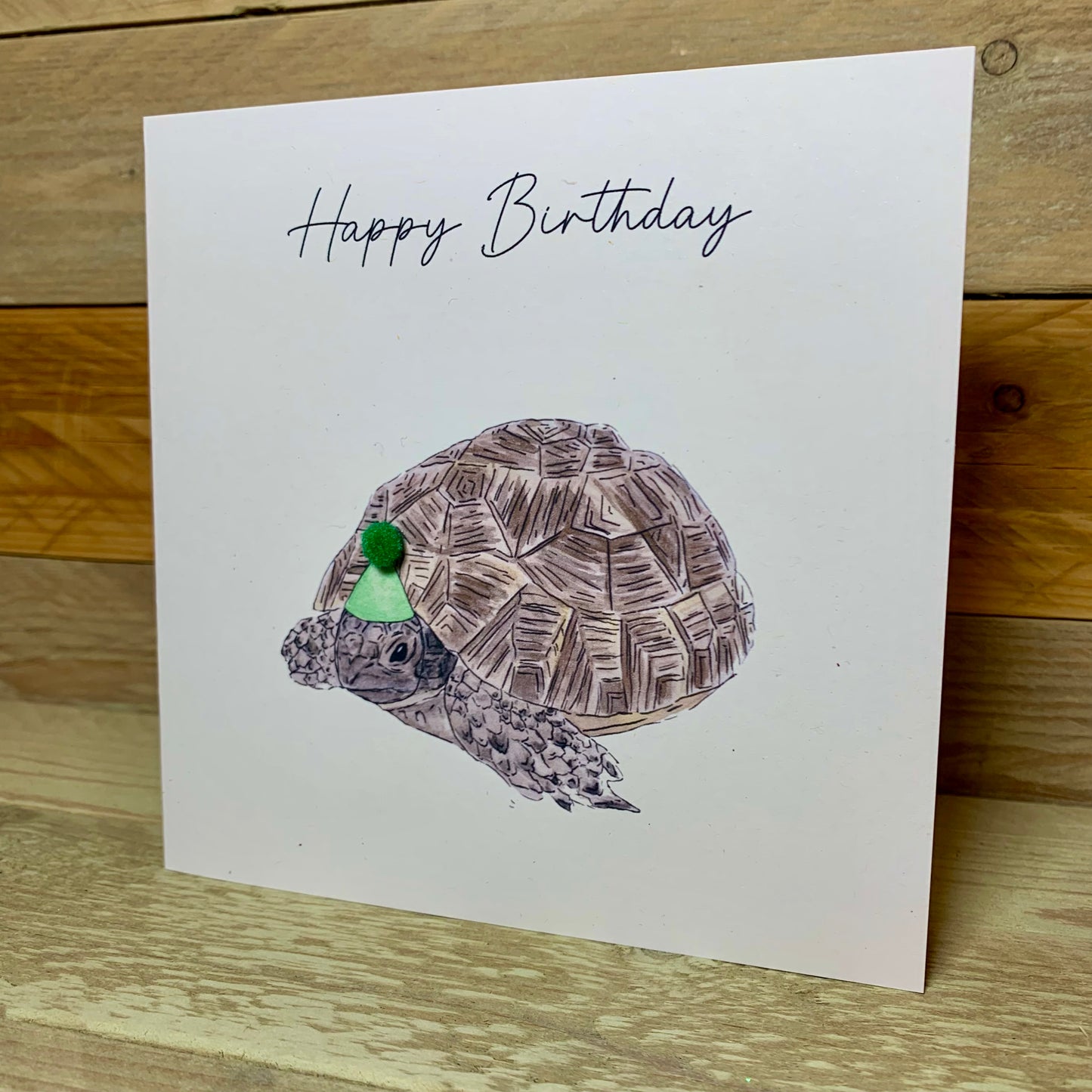 Tina the Tortoise Birthday card