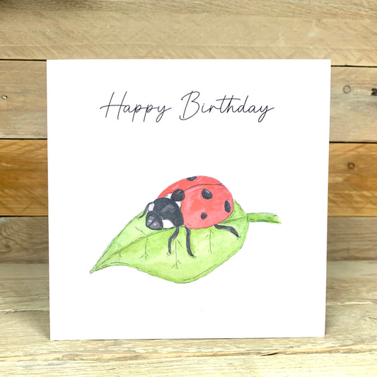 Luna the Ladybird Birthday Card