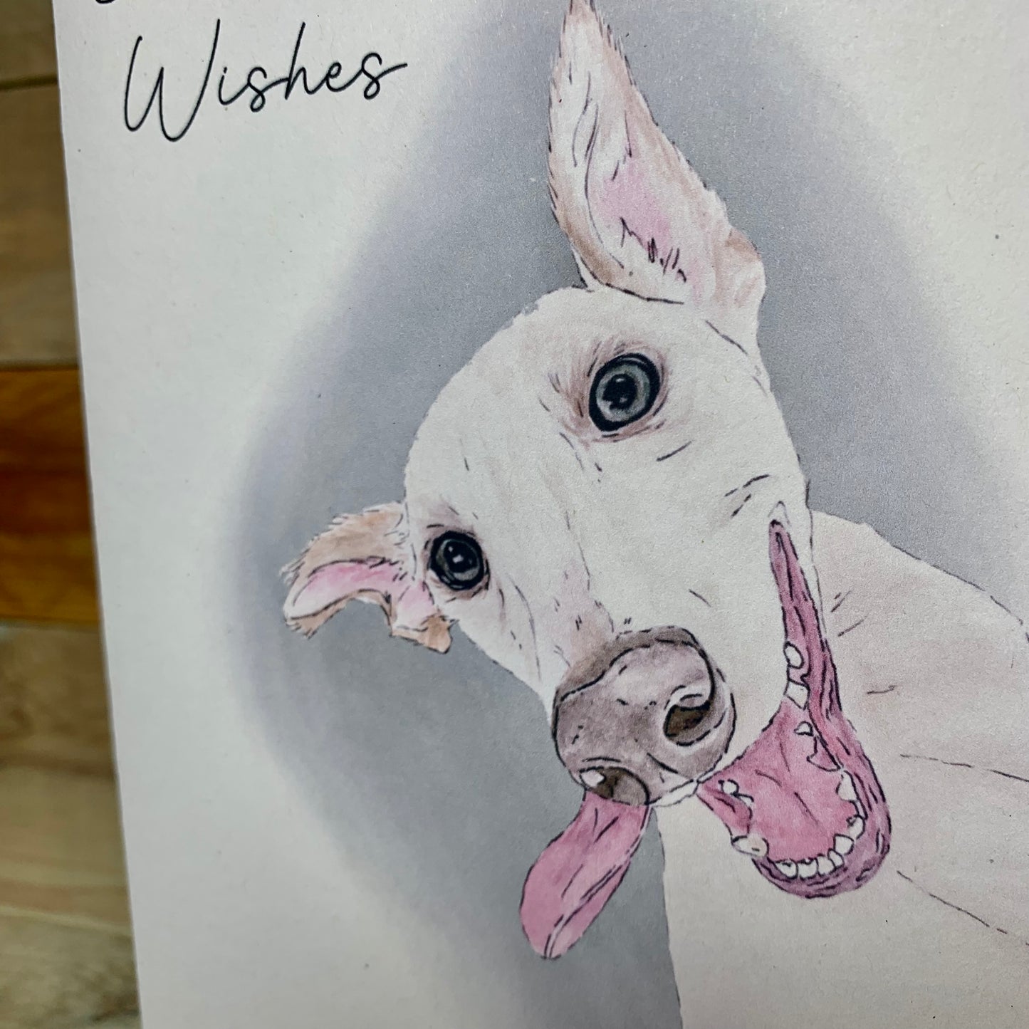 The Face Says It All Whippet Funny Birthday Card